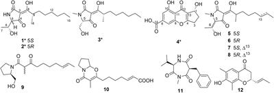 New Tetramic Acid Derivatives From the Deep-Sea-Derived Fungus Penicillium sp. SCSIO06868 With SARS-CoV-2 Mpro Inhibitory Activity Evaluation